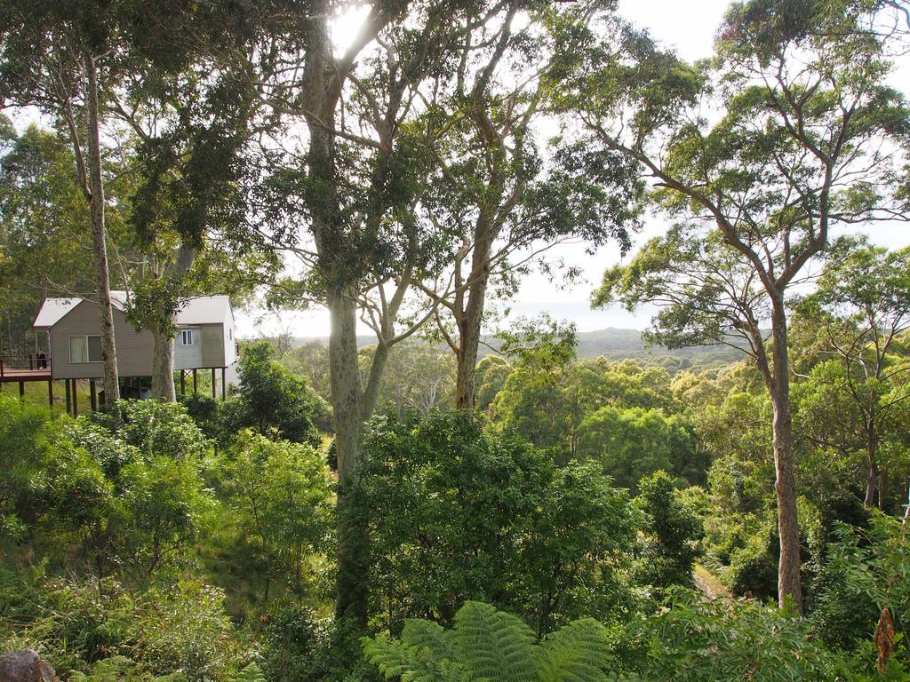 Bundle Hill Cottages Bawley Point Bilik gambar
